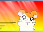 hamtaro